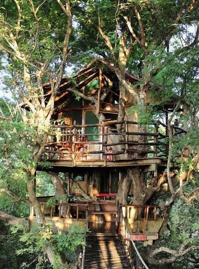 Children playing in a cozy backyard tree house