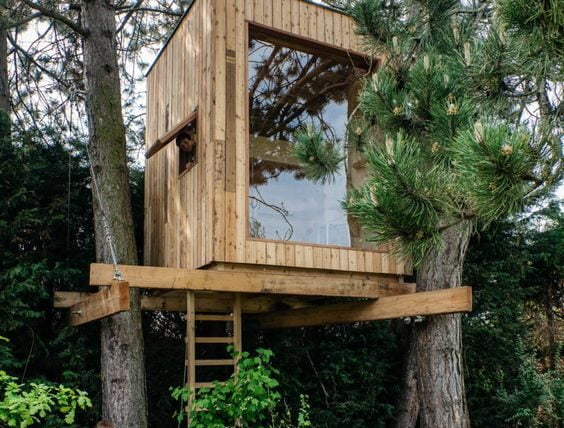 Rustic tree house surrounded by forest greenery