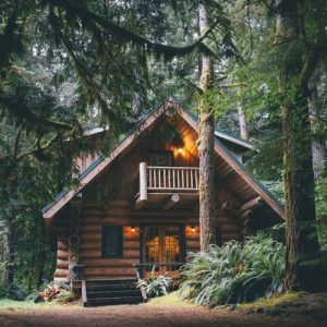 Rustic wooden cabin on wheels parked in a forest clearing
