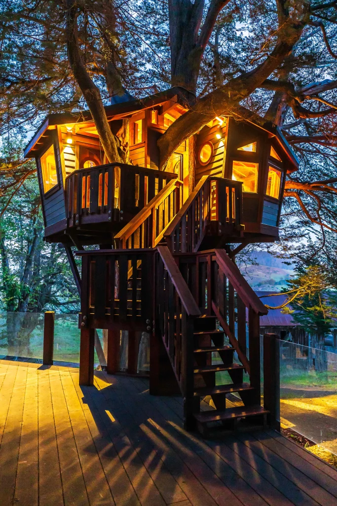 Scenic tree house vacation in forest