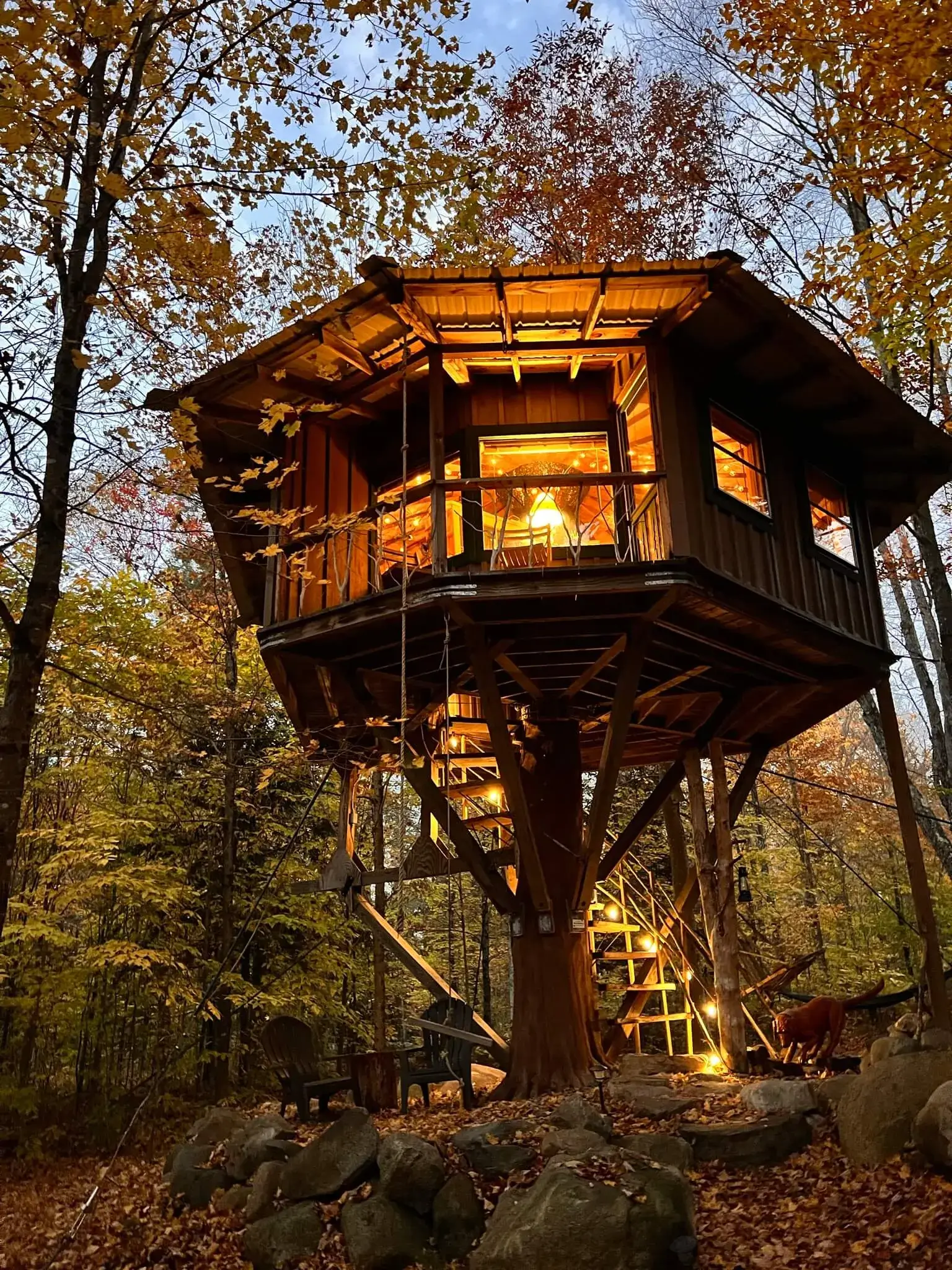 Couple enjoying tree house stay with mountain view