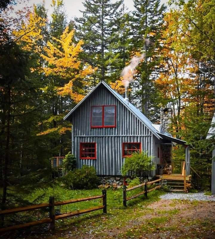 Tiny House Insurance: What You Need to Know Before You Buy